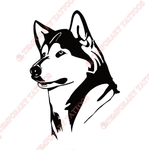 Washington Huskies Customize Temporary Tattoos Stickers NO.6897
